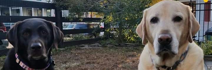 Nora141's profile banner image