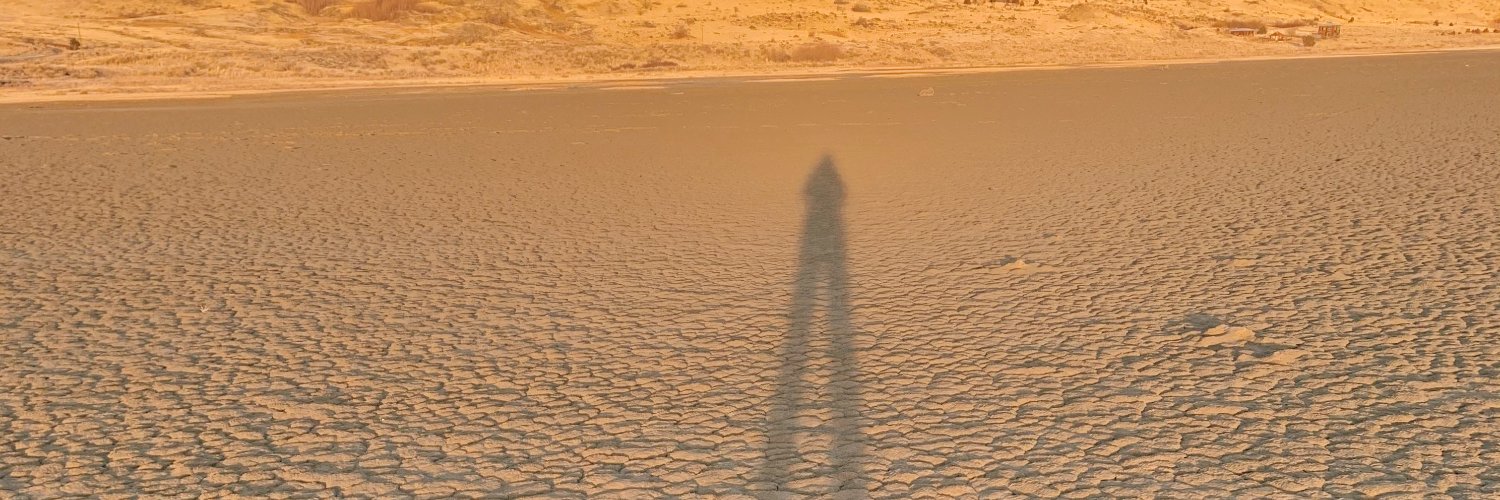 Zoë Carpenter banner