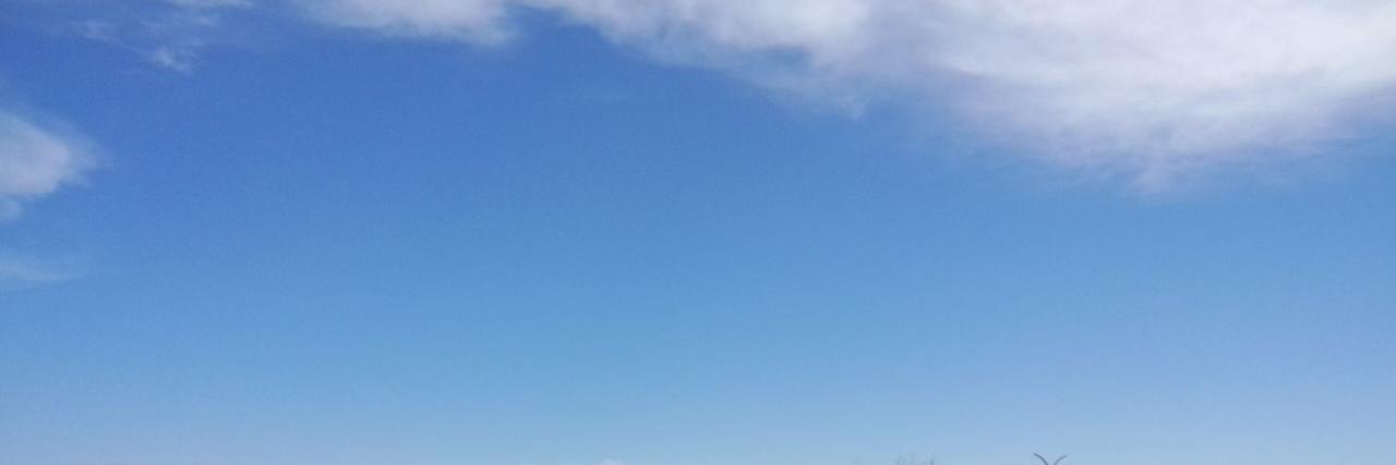 siwud's profile banner image