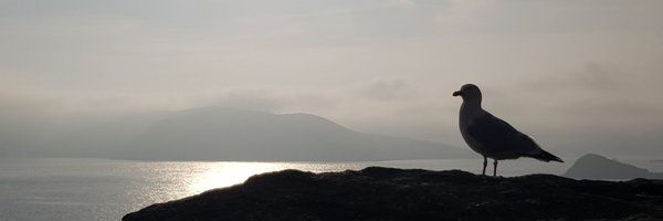 NiUiginn Profile Banner