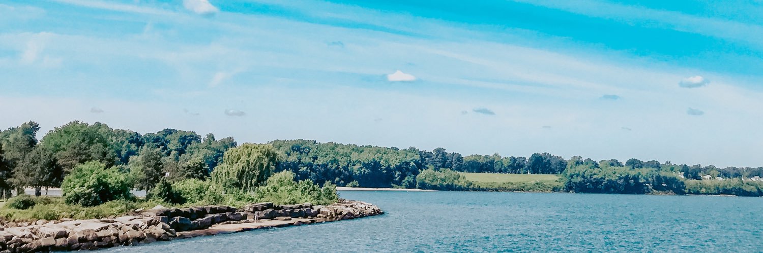remembralls's profile banner image