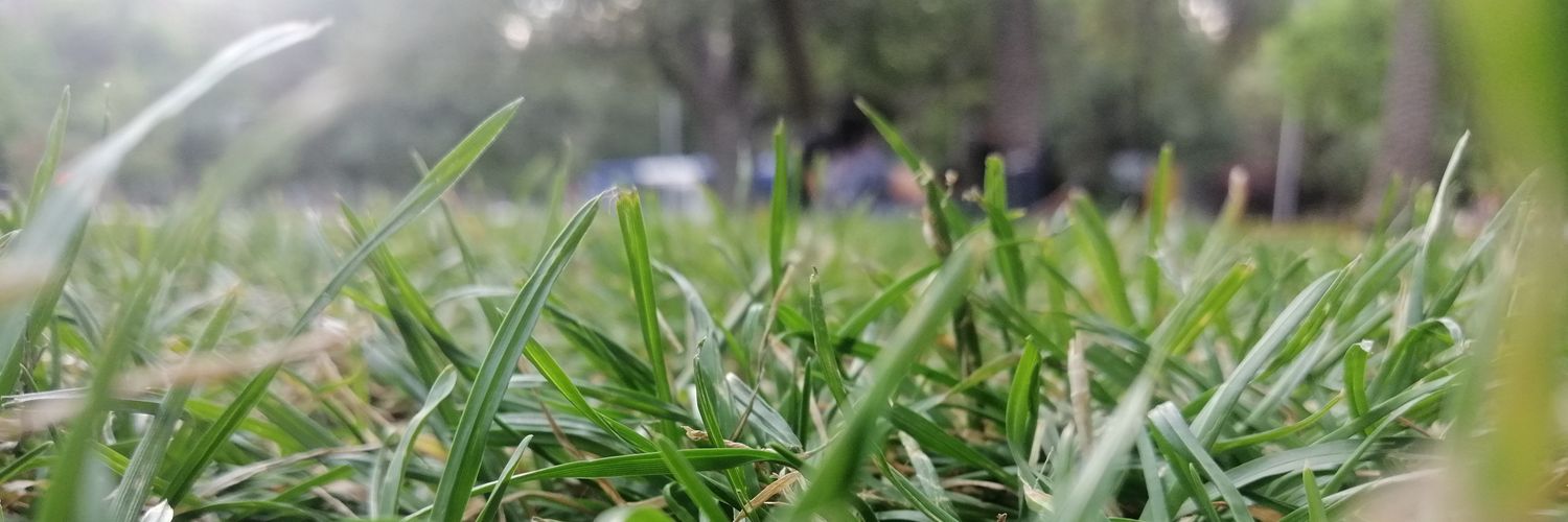 MarcoChocoTibu's profile banner image