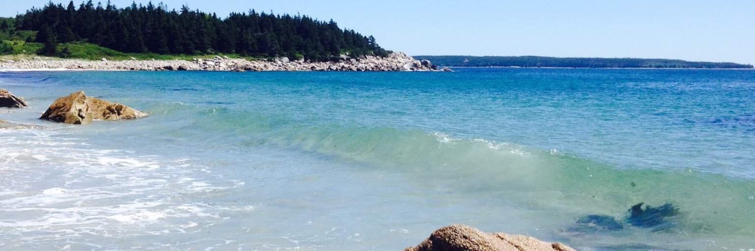 denisedeblois's profile banner image