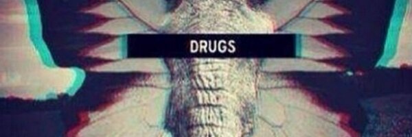 hellabobbitt Profile Banner