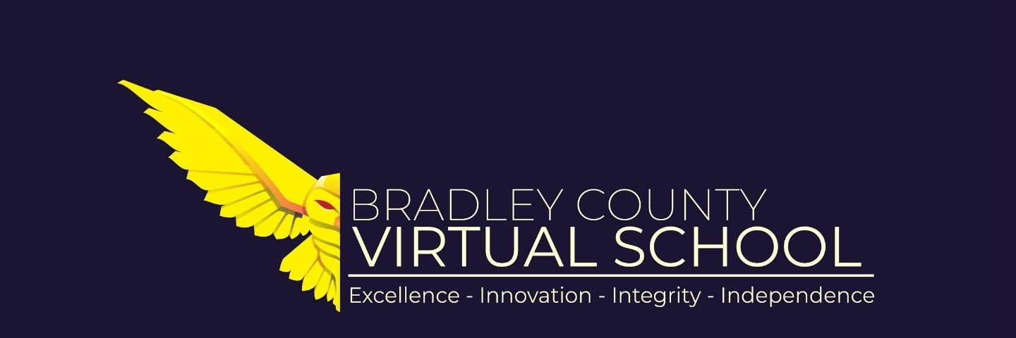 BradleyVirtual's profile banner image