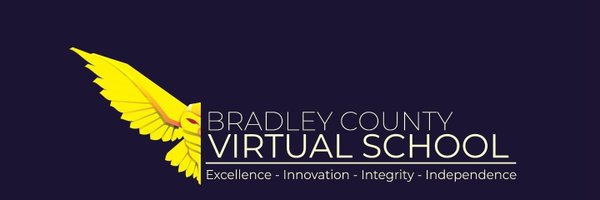 BradleyVirtual Profile Banner