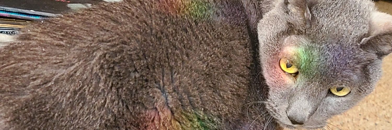 katkrusher's profile banner image