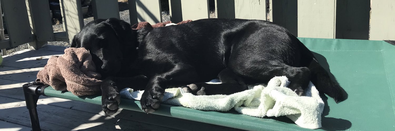 Randall McKenzie banner