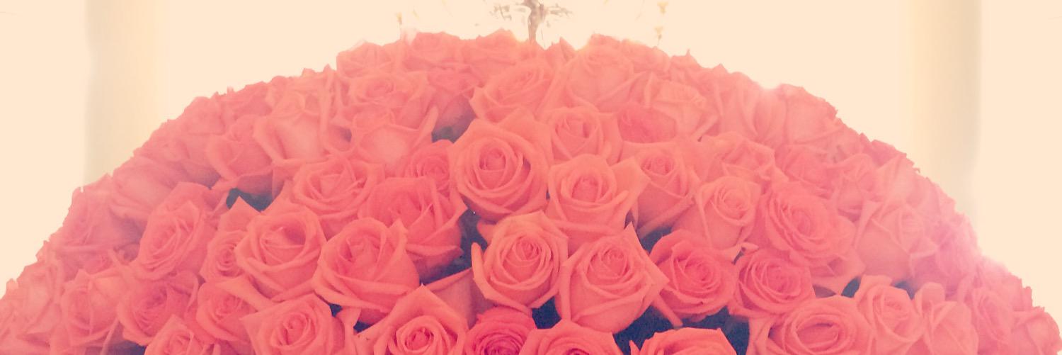 KellySarka's profile banner image
