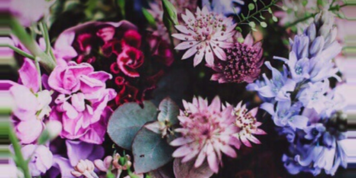 haydenmarlee's profile banner image
