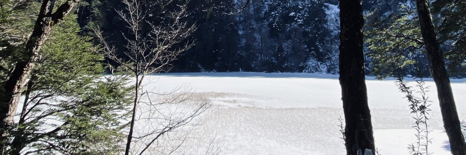 Rodristick's profile banner image