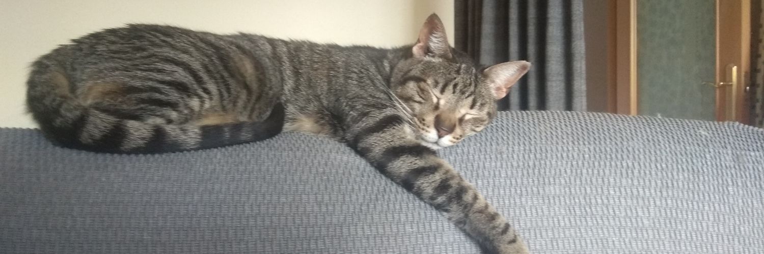 Juan Carlos Saire Arenas banner