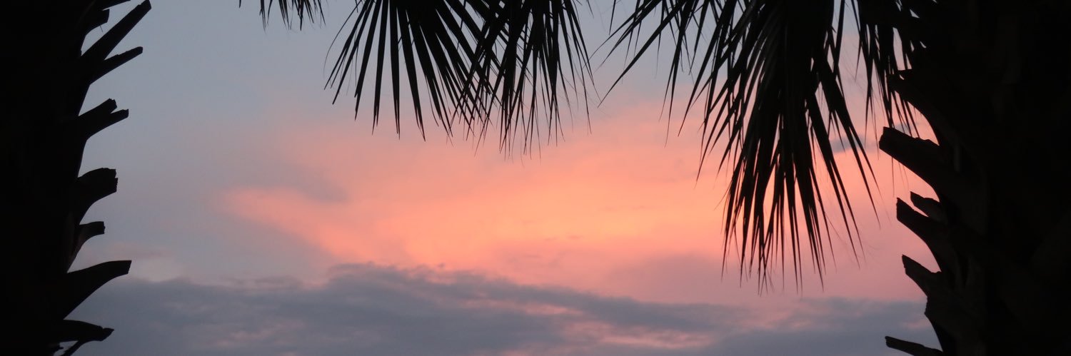 tldykes's profile banner image