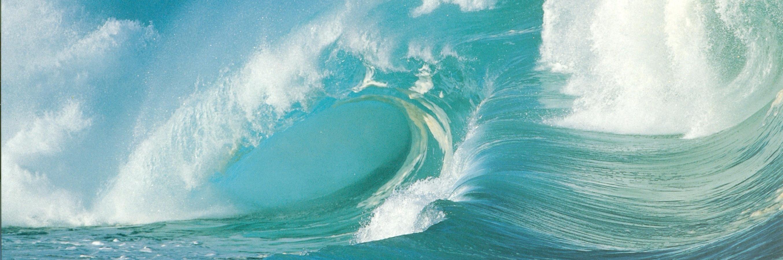 willson_music's profile banner image