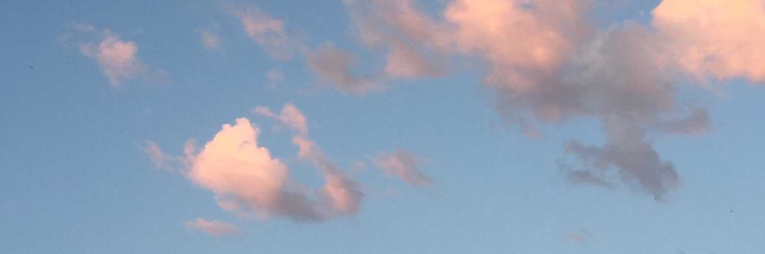 Lorena_S98's profile banner image