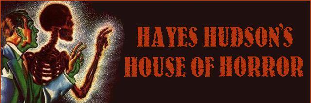Hayes Hudson banner