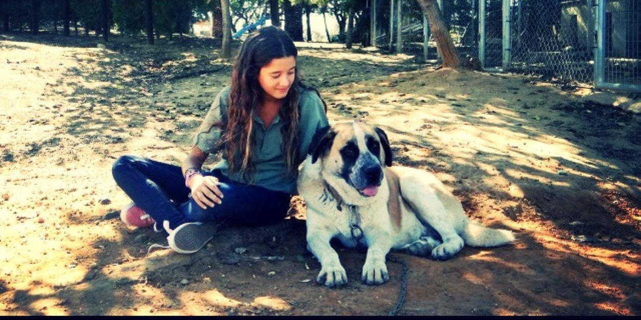 carmencalmuru's profile banner image
