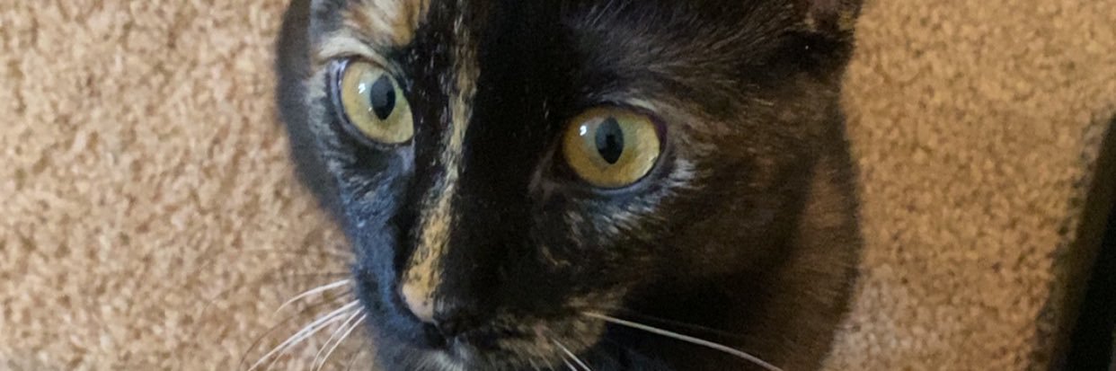 hailey_renee22's profile banner image