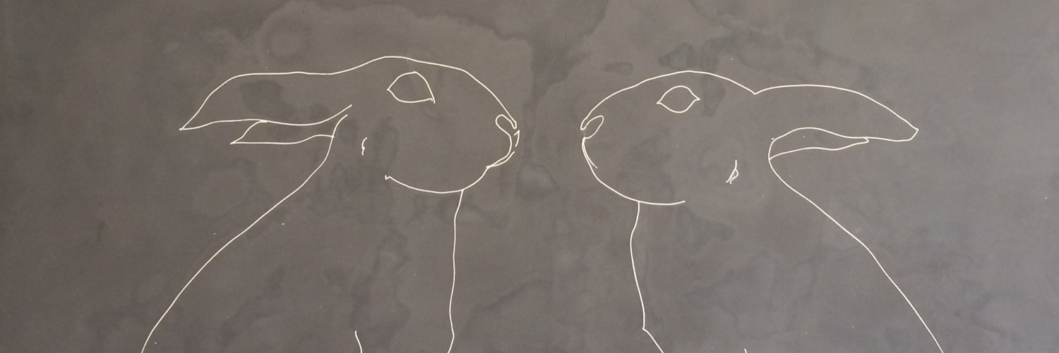 haileylyonz's profile banner image