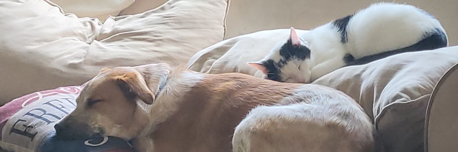 Adrienne Heidecker banner