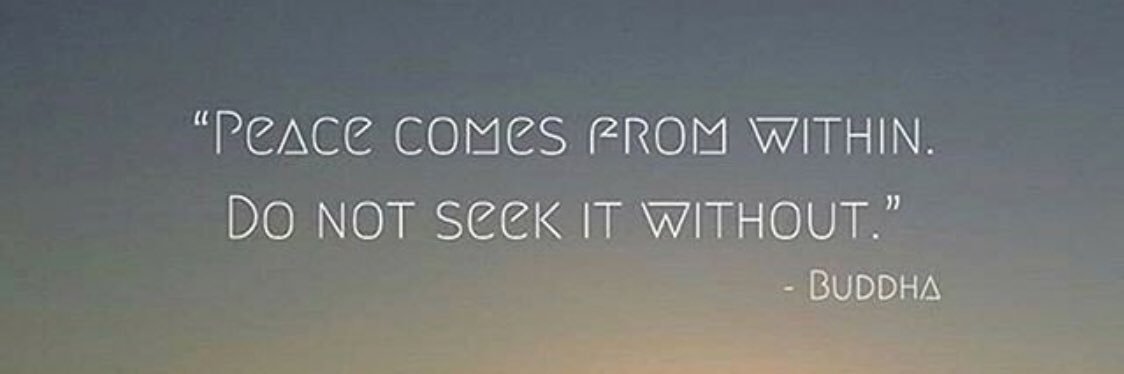 Kaylinn Draper banner