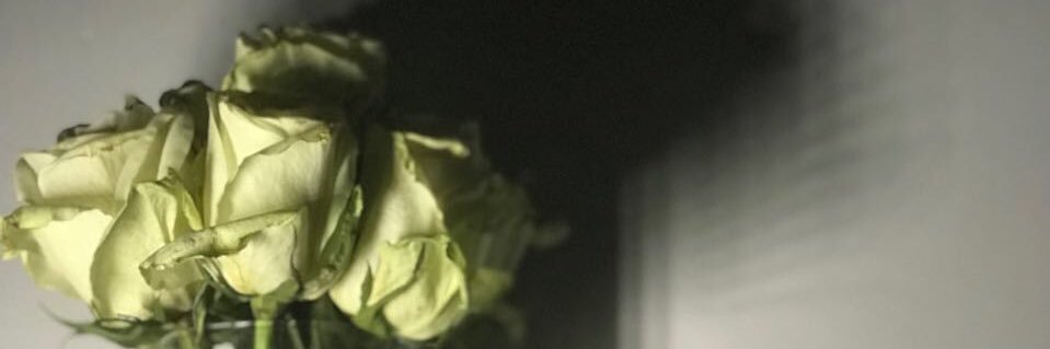 misslolite's profile banner image