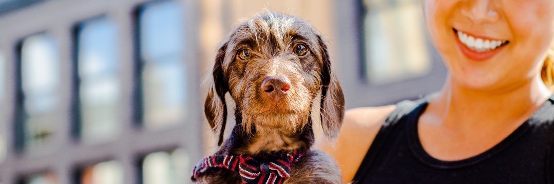 MrOVO🇳🇬 banner