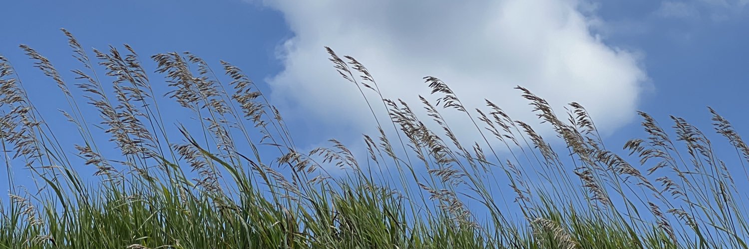 avaumbach's profile banner image