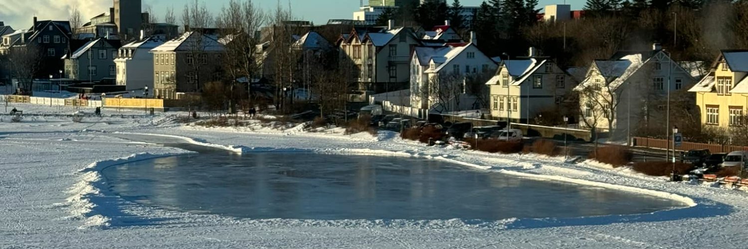 Einar Þorsteinsson banner