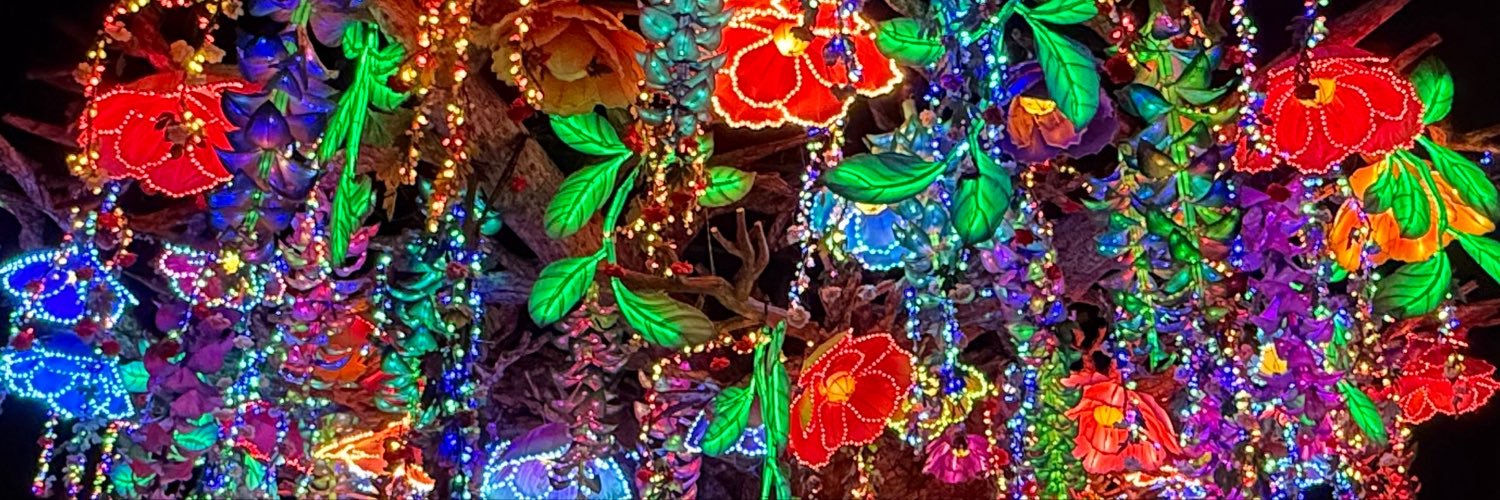 _thraxfish_'s profile banner image
