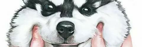 Most_wanted95's profile banner image
