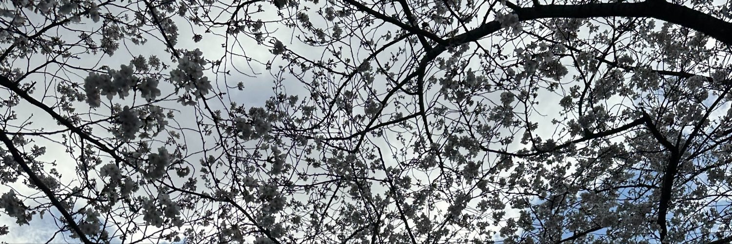talento365's profile banner image