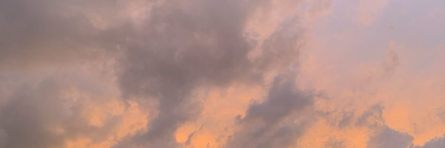 iaracasttro's profile banner image