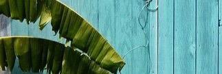 Kendallmmariee's profile banner image