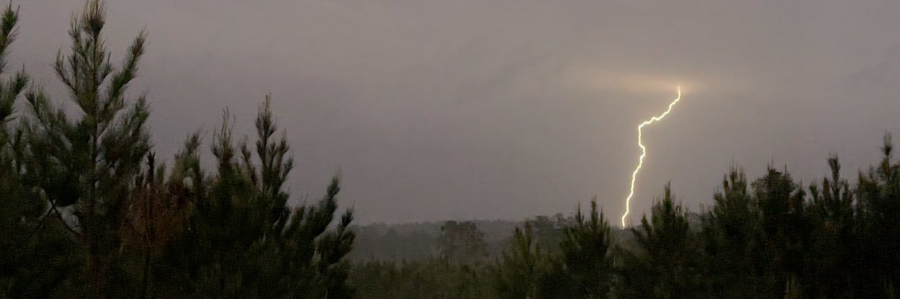 berliedaily's profile banner image