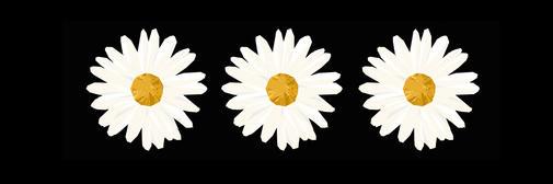 polygonzalezz's profile banner image