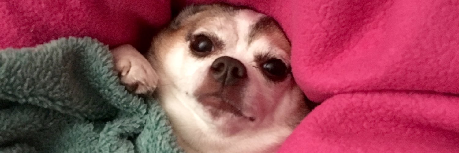 GiselleGal's profile banner image