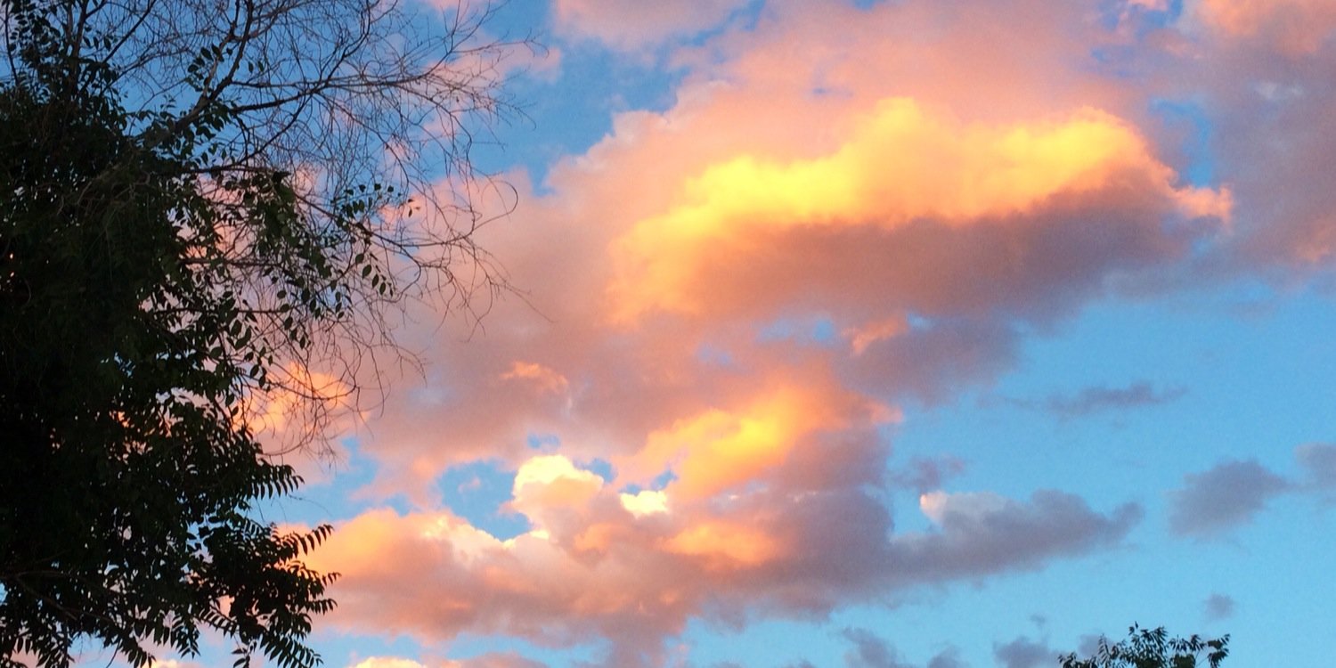 Taylorta84's profile banner image