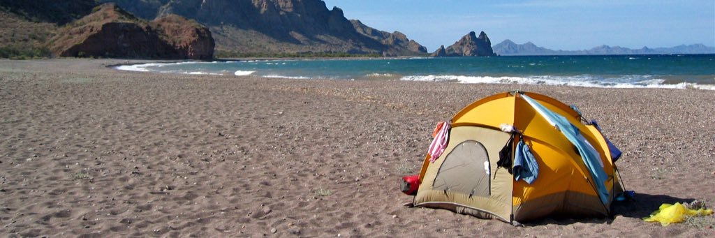David Mathison banner