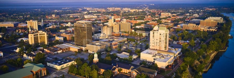 LibertarianZoidberg🇺🇲🟨🗽 banner