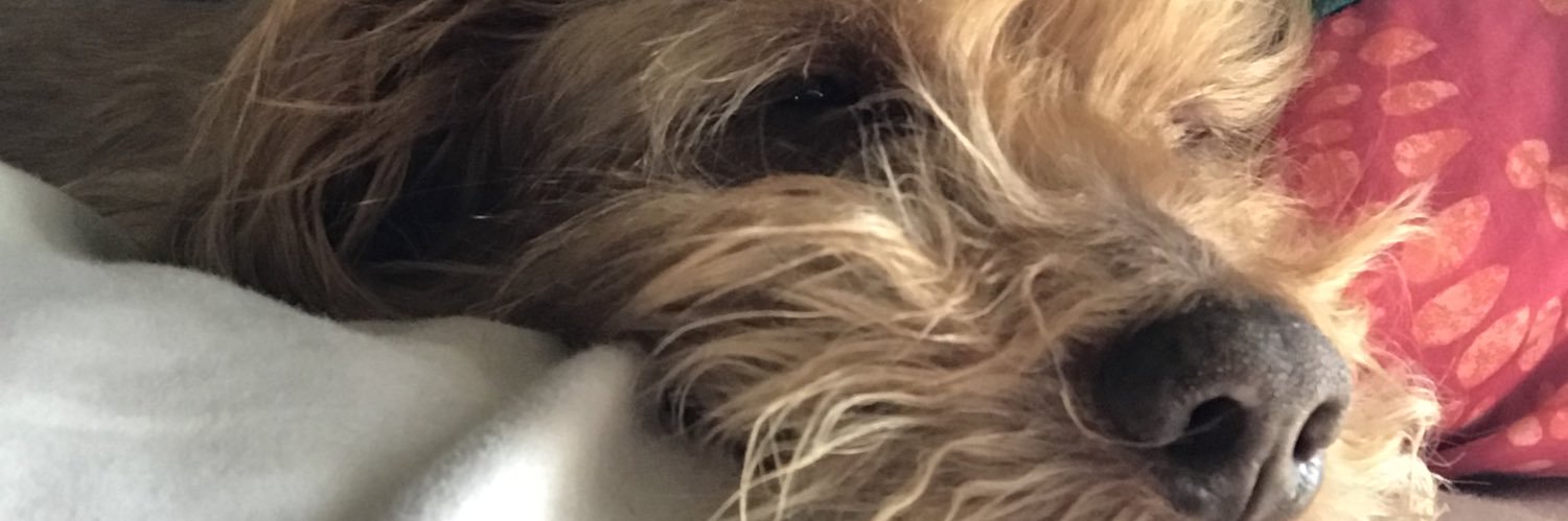 Connigrulkey's profile banner image