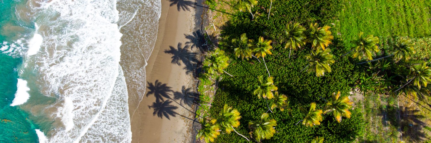 Haron Forteau 🇬🇩 banner