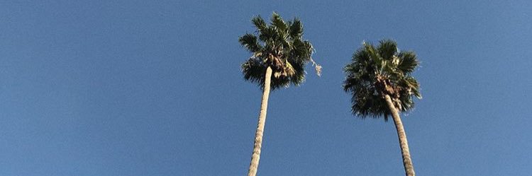 SamiXJr's profile banner image