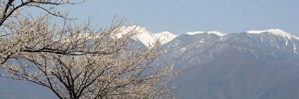 tonochang Profile Banner