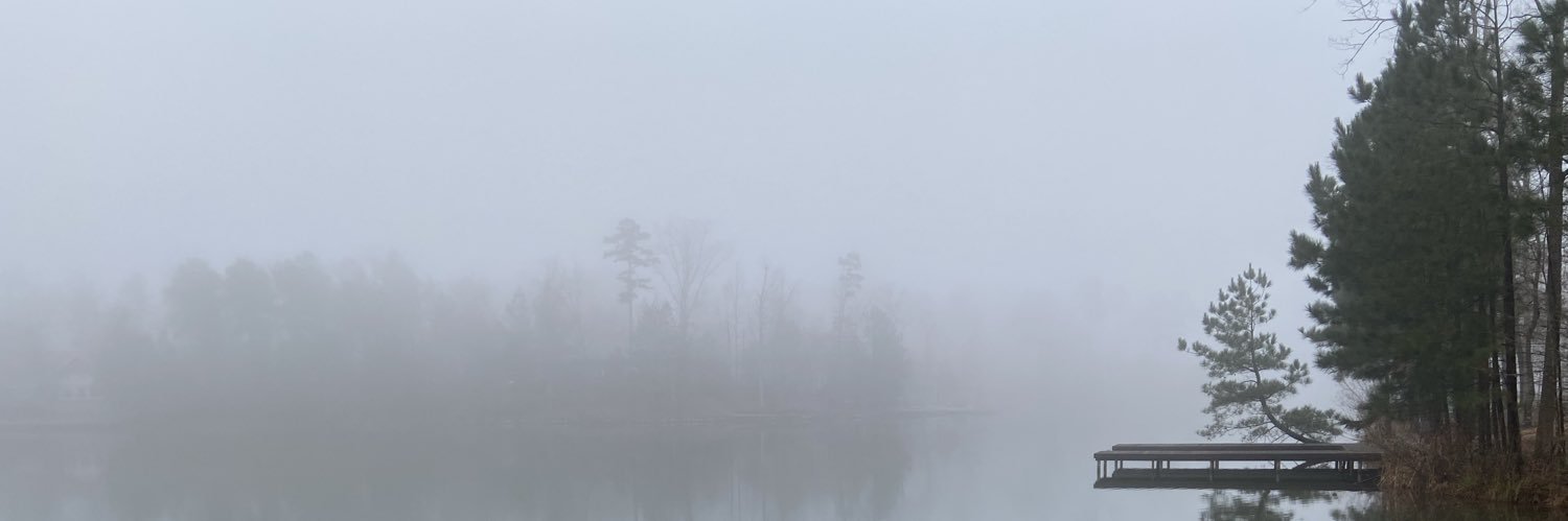 MegsterW's profile banner image