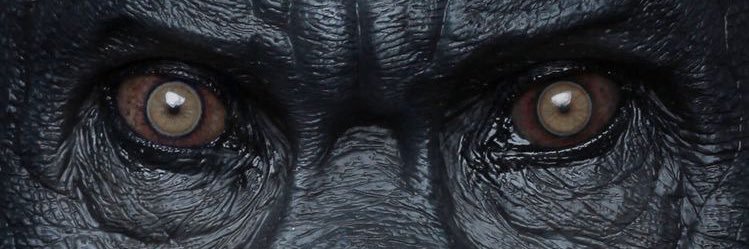 BaneSama's profile banner image