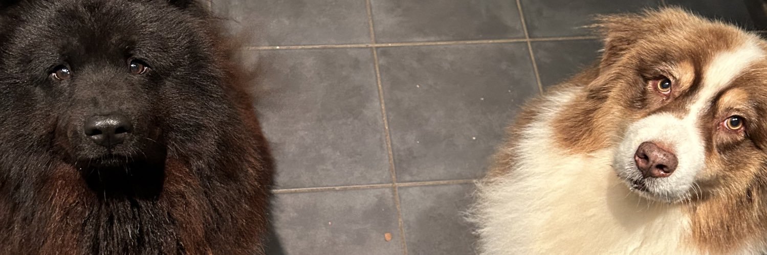 Parmoute's profile banner image