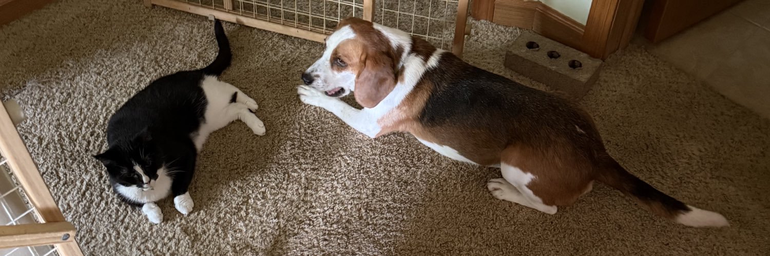 bonedog69's profile banner image