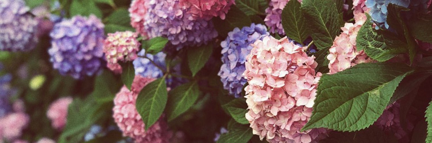raaakj's profile banner image