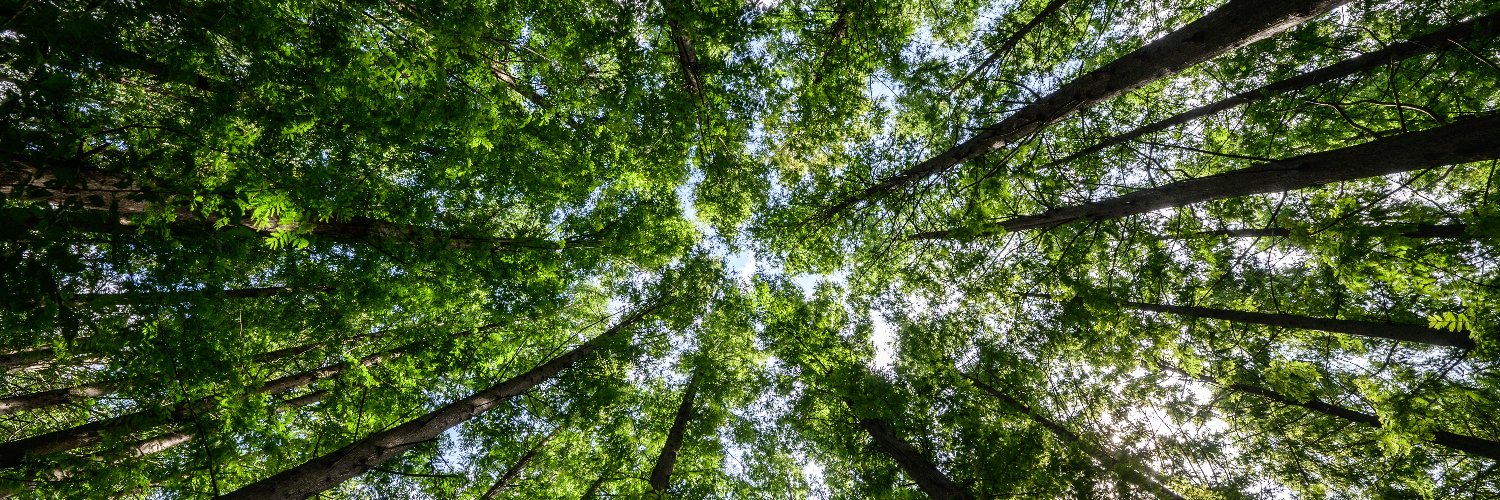 Anthony Wallace 💙 banner